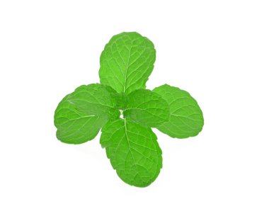 Beyaz bir arka plan üzerinde yakın nane yaprağı