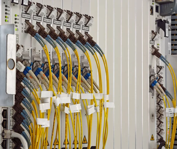 Optic Fiber Cables Connected Data Center — Stock Photo, Image