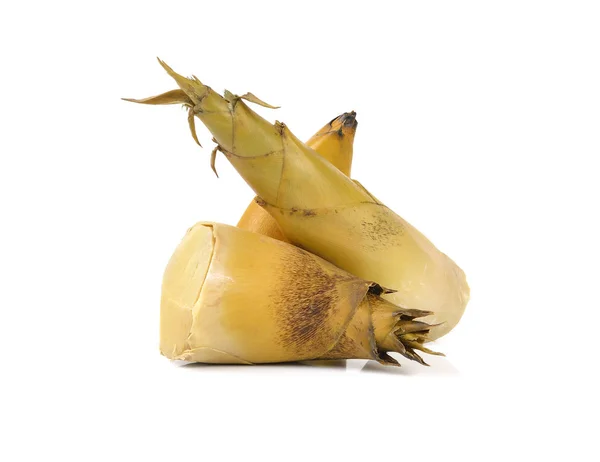 Beyaz arka planda bambu filizleri