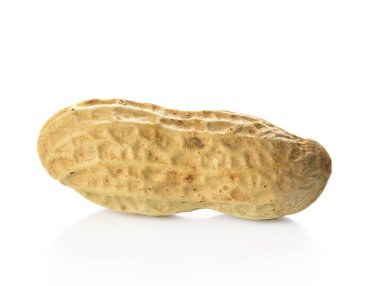 kurutulmuş portre fıstık