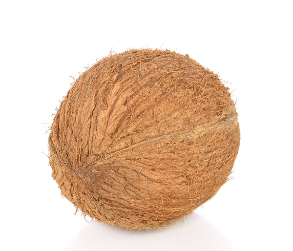 Kokosnoot close-up geïsoleerd op witte achtergrond — Stockfoto