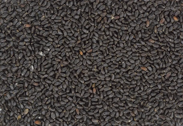 Black Sweet Basil seeds — Stock Photo, Image