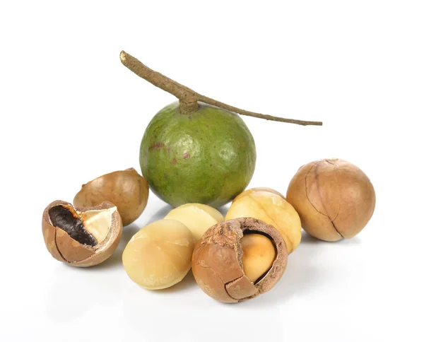 Macadamia noten geïsoleerd op witte achtergrond — Stockfoto