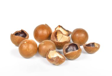 Beyaz arka planda Macadamia cevizi