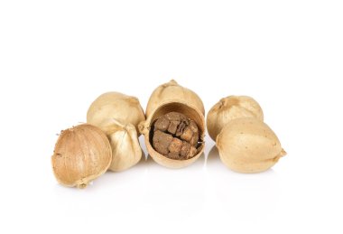 Kakule beyaz arkaplanda izole edildi