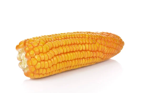 Nueces de maíz secas aisladas en blanco —  Fotos de Stock