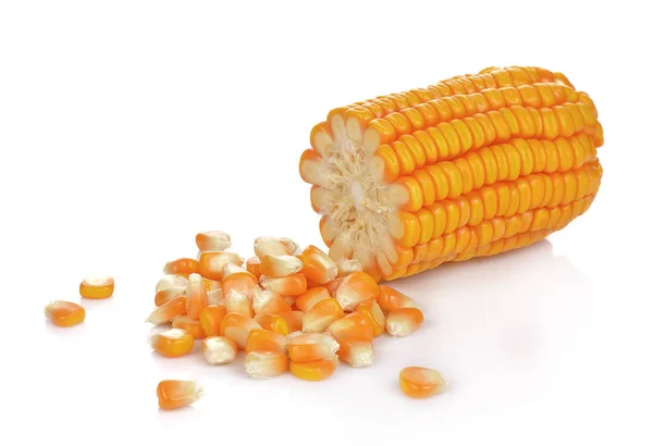 Fehérre izolált Kukoricamagok — Stock Fotó