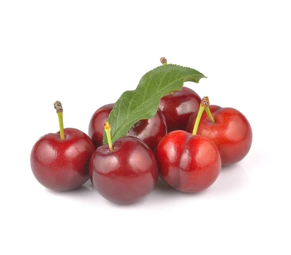 Röd plommon frukt isolerad på vit bakgrund — Stockfoto