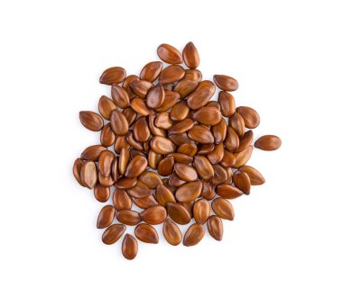 Beyaz arkaplanda Phatakin tohumu (Leucaena leucocephala) izole edildi