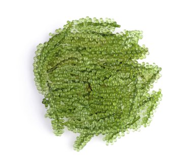 Beyaz sırt grubunda deniz yosunu (yeşil havyar). Üst görünüm