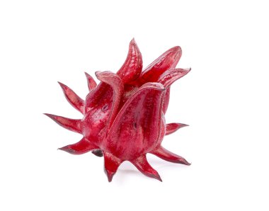 Beyaz arka planda Roselle Hibiscus Sabdariffa kırmızı meyve çiçeği. 