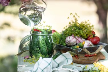 Salatalık hasat et. Cam kavanozda taze salatalıklar, turşu için baharatlar ve otlar..
