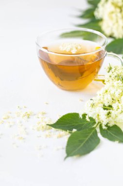 Beyaz arka planda, mürver çiçeklerinden çay ve şurup Sambucus.