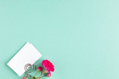 Renkli arkaplanda bir kartvizit ve gül çiçeği, kopyalanmış alan, üst görünüm