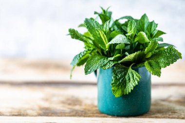 Taze organik nane ve ahşap bir masanın üzerindeki metal bardakta limon kremi. Seçici odak.