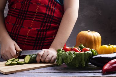 adam için vegan salata, sebze kümesi aşçılar