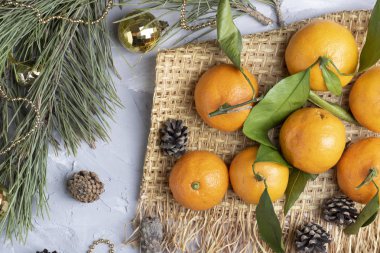 Oyuncak, koni ve mandallı Noel ağacı dalı 