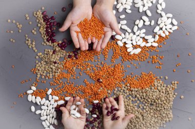 Çocukların elleri fasulye ve tohumlarla dolu. Üst görünüm ve kopyalama alanı