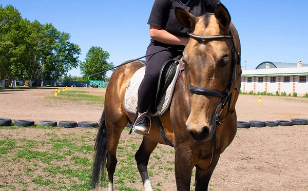 Jockey Paardrijden Een Paard Met Hoofdstel Zadel Merrie Voor Racing — Stockfoto