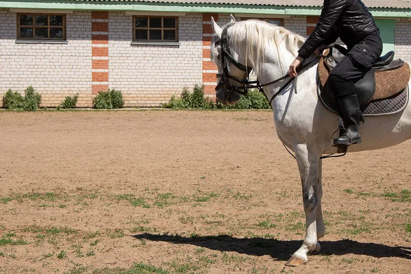 Cropped Image Woman Riding Horse — Zdjęcie stockowe