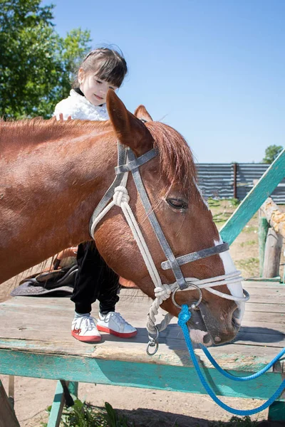 Cute Child Standing Horse — Zdjęcie stockowe