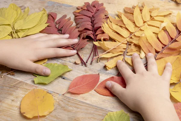 Adolescenti mani sdraiati su foglie autunnali, vista laterale — Foto Stock