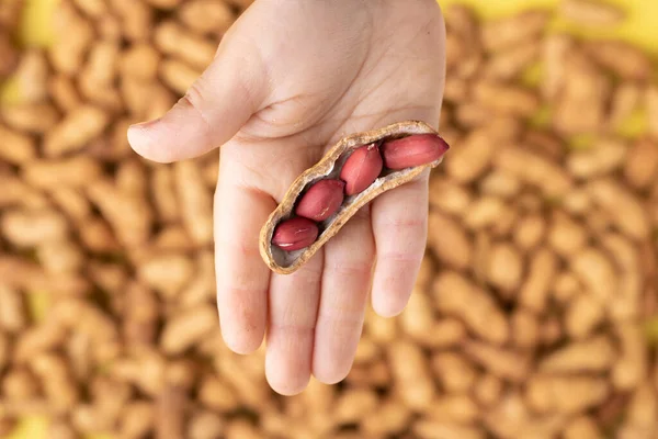 Unpeeled peanuts in kids hand, flat lay. Blurred background