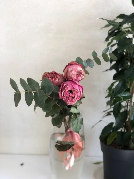 Roses Roses Vase Concept Minimal Espace Copie — Photo