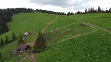  Birkaç SUV toprak bir yol boyunca bir dağ yolu boyunca gidiyor. Hava görünümü.