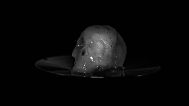 Eisschädel Schmelzen Schwarz Weiß Auf Schwarzem Hintergrund — Stockvideo