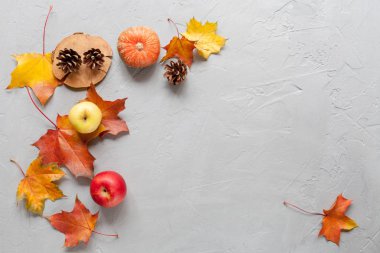 yapraklar sonbaharda arka planla