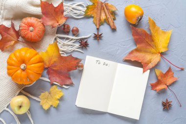 yapraklar sonbaharda arka planla