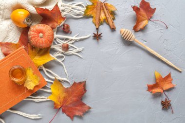 yapraklar sonbaharda arka planla