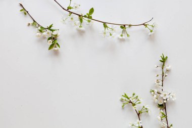 Doğal maddeler ile Organik kozmetik, düz yatıyordu