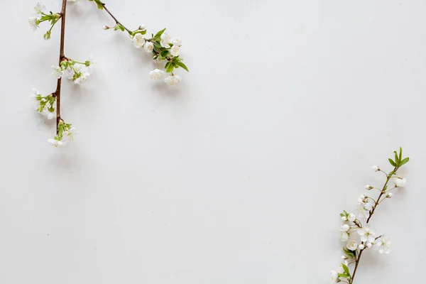 Doğal maddeler ile Organik kozmetik, düz yatıyordu