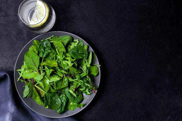 Siyah arka planda ıspanaklı taze salata ve roka..