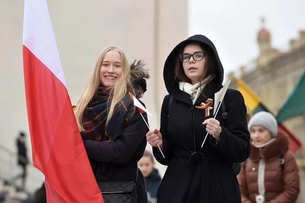 Vilnius Litauen Februar Unbekannte Versammelten Sich Mit Fahnen Einer Geburtstagsfeier — Stockfoto