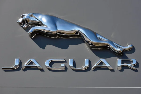 Jaguar car logotype on the wall — Stock Photo, Image