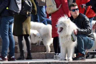 Vilnius Old Town içinde köpek olan insanlar