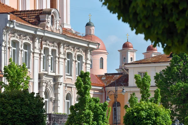 Детальна інформація про церкву Святого Казимира у Вільнюсі — стокове фото
