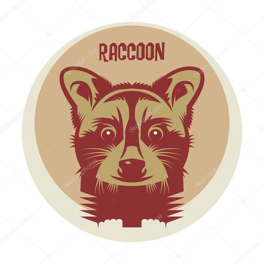 Raccoon logo or icon symbol, emblem. Vector illustration