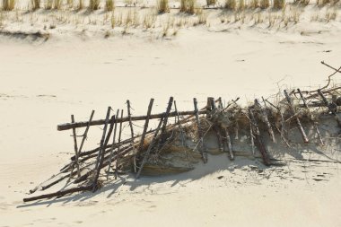 Kumullar. Curonian Tükürüğü, Litvanya