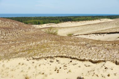 Sandy Grey Kumulları Nida, Neringa, Litvanya 'daki Curonian Spit' te