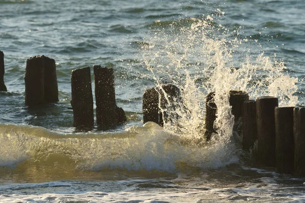 Water hits the wooden piles driven into the sea, old wooden pier on Baltic Sea