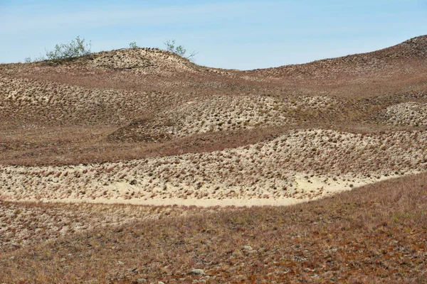 Sandy Grey Kumulları Nida Neringa Litvanya Daki Curonian Spit — Stok fotoğraf