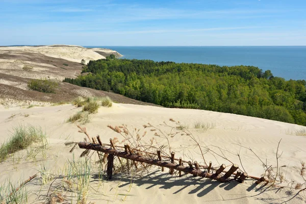 Dune Grigio Sabbia Allo Sputo Curoniano Nida Neringa Lituania — Foto Stock