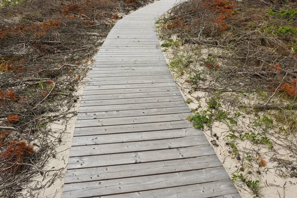 Sentiero Legno Che Attraversa Dune Nella Riserva Naturale Nagliai Vicino — Foto Stock