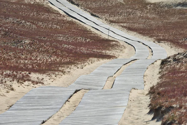 Sentiero Legno Che Attraversa Dune Nella Riserva Naturale Nagliai Vicino — Foto Stock