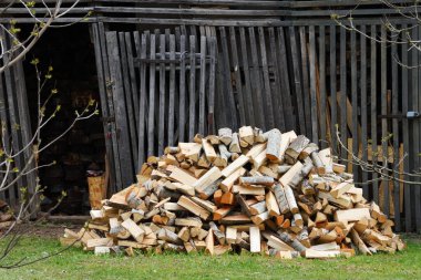 Kış için yakacak odun hazırlıyorum. Yığının içinde kurumuş odun kütükleri.