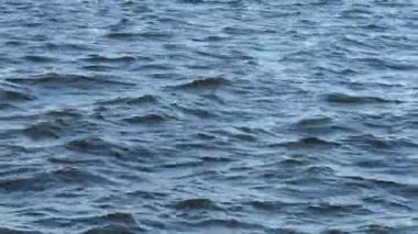 Mavi su dalgaları yüzeye çıkıyor. Rüzgâr yönünde hareket eden küçük dalgalarla su yüzeyi.